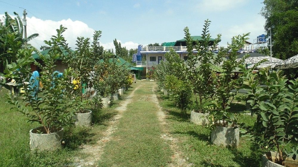 Michelle Pension Puerto Princesa Luaran gambar