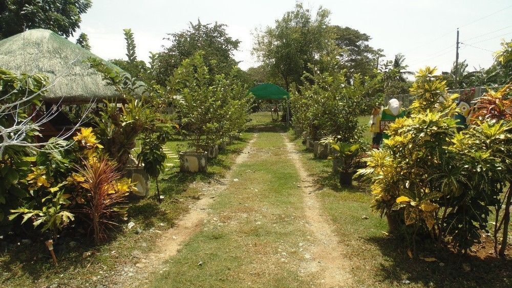 Michelle Pension Puerto Princesa Luaran gambar